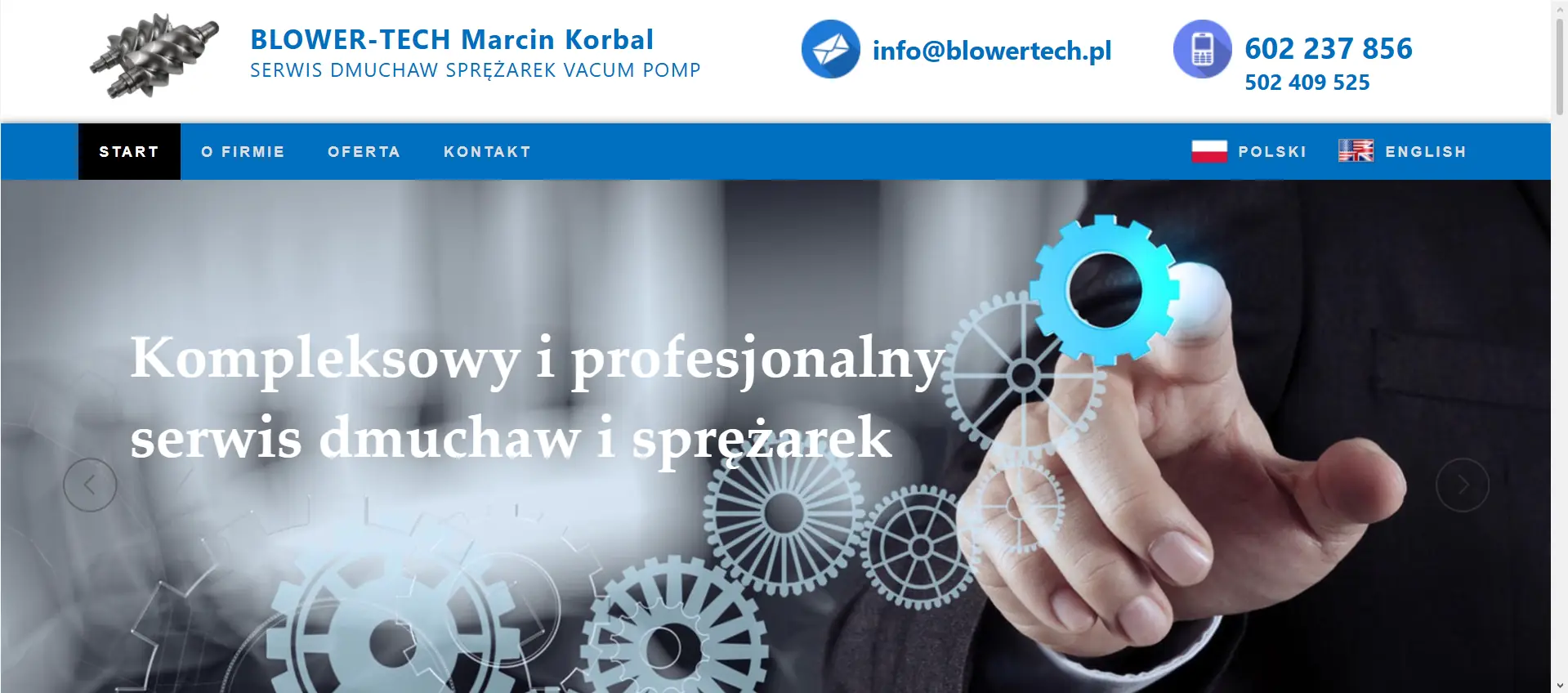 Podgląd projektu BlowerTech.pl